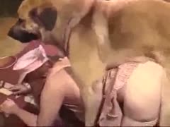 Big brown dog xxx fucking a big ass slut